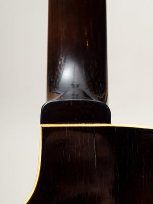 1969 Epiphone Howard Roberts model