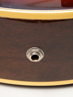 1969 Epiphone Howard Roberts model
