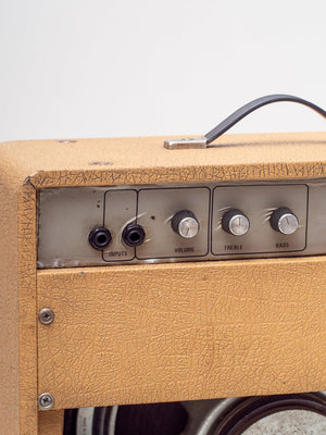 1971 Park LE 20 Amplifier