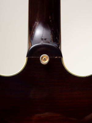1979 Ibanez Artist AS 200