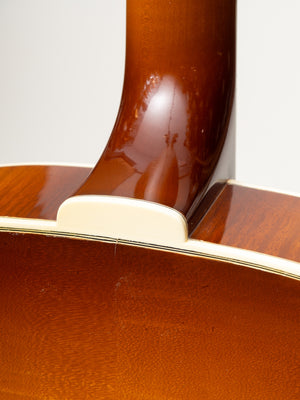 1985 D'Aquisto Excel