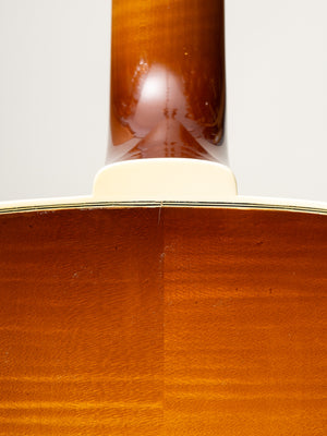 1985 D'Aquisto Excel