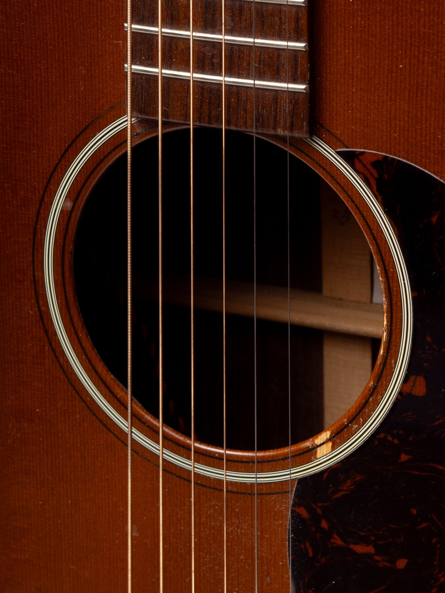 2009 Martin M-21 Steve Earle Model Formerly Owned By Steve Earle