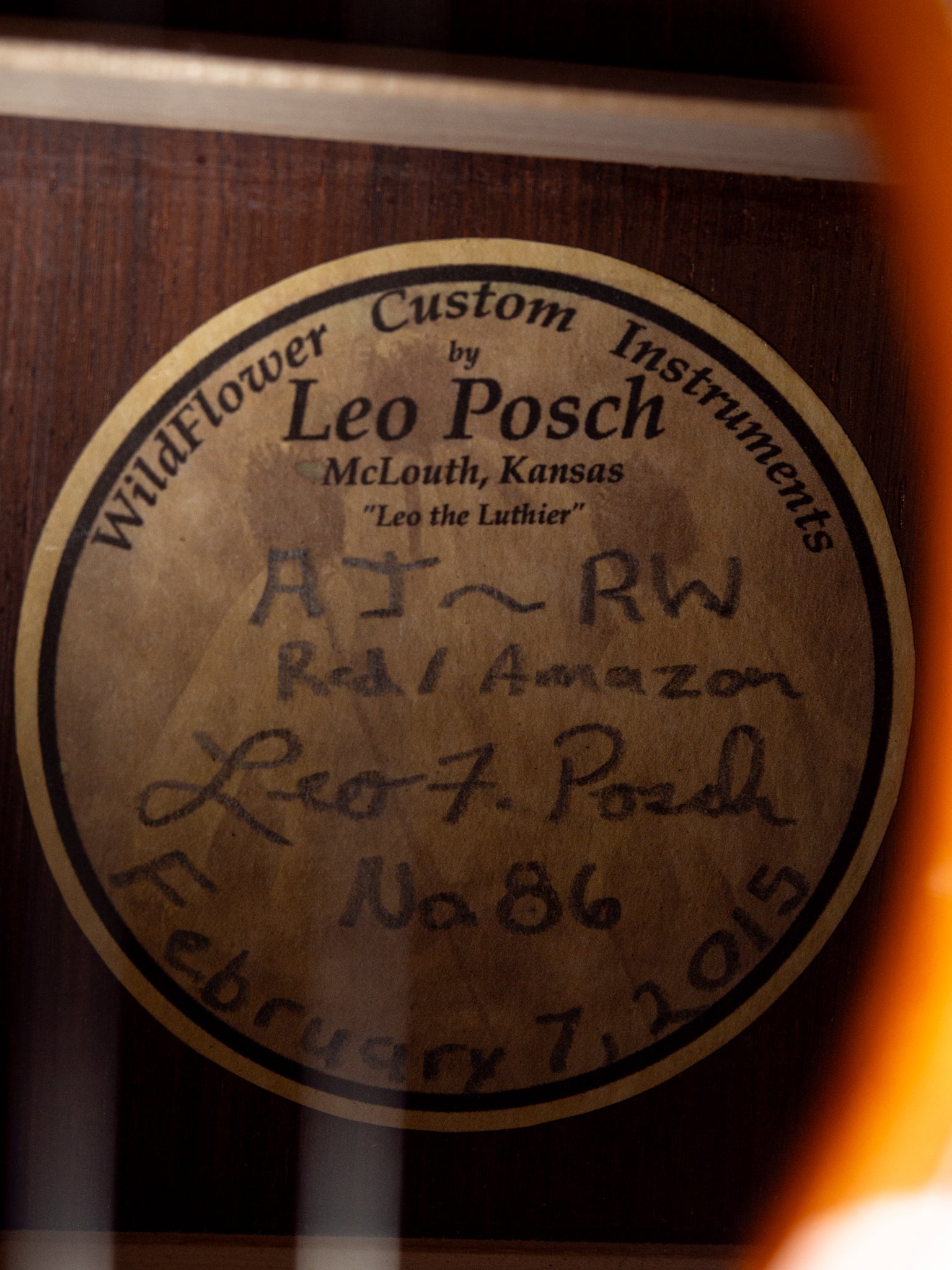 2015 Leo Posch AJ-RW