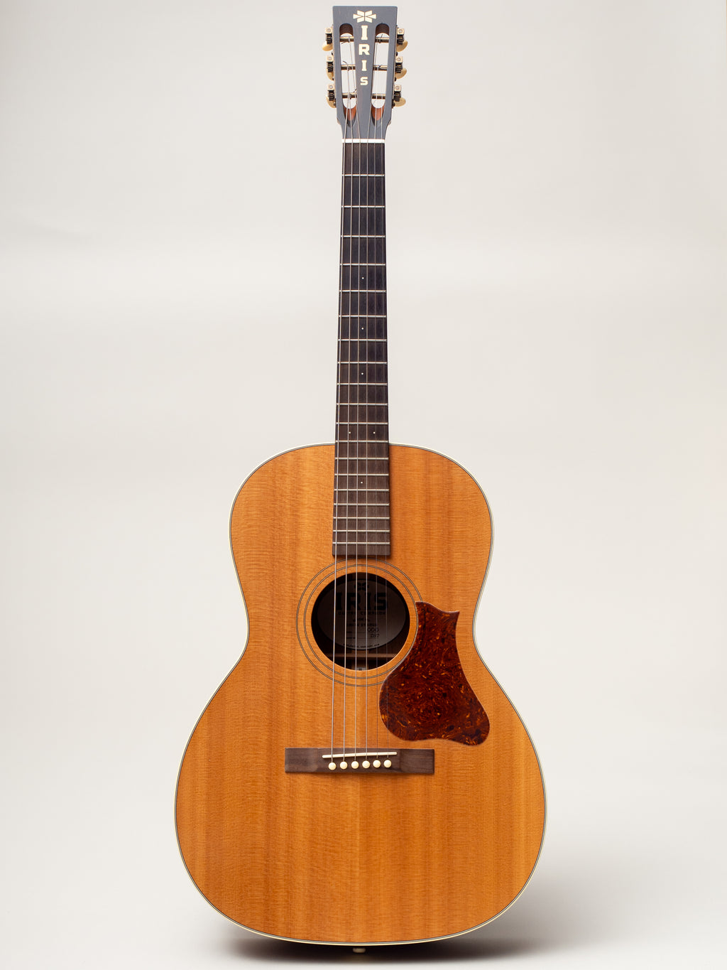 2021 Iris 000 12 Fret