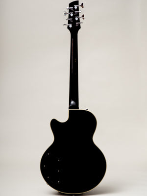 2022 Waterstone TP-8 8 String Bass