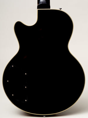 2022 Waterstone TP-8 8 String Bass