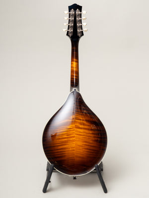 2025 Collings MT2 Mandolin SN A4704