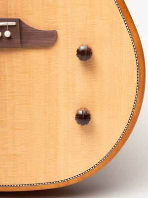 2025 Fender Highway Series Dreadnought Acoustic Electric