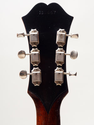 1967 Epiphone Al Caiola Standard