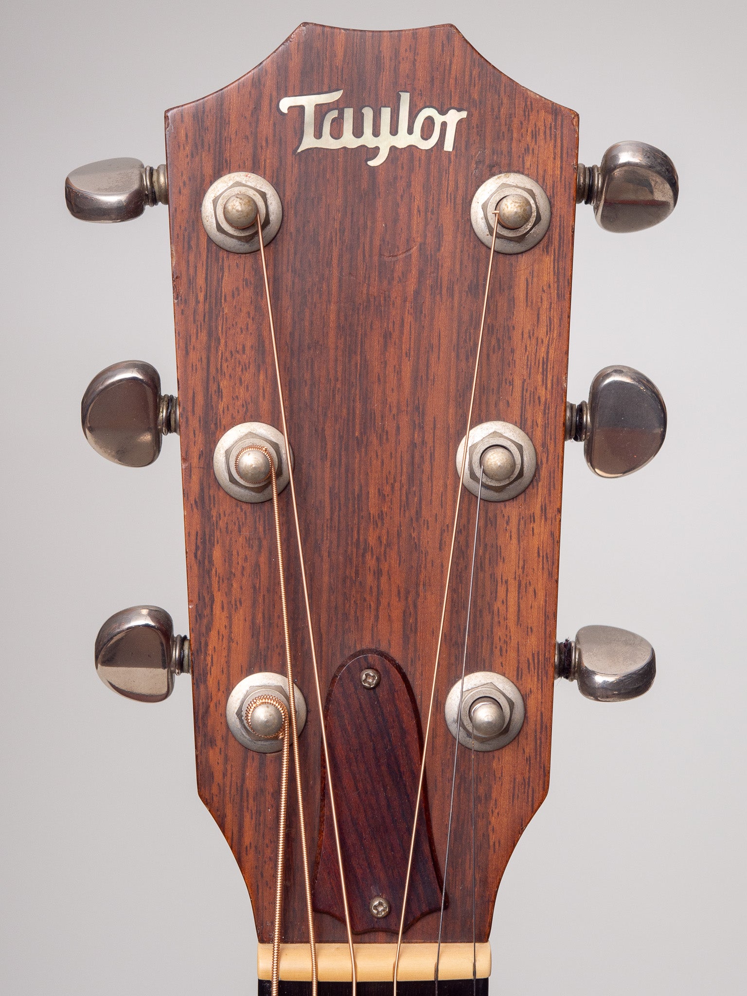 1990 Taylor 512 Guitar Headstock