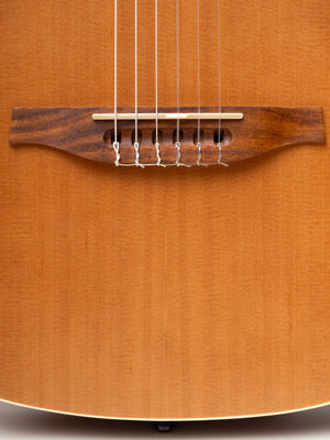 Godin Multiac Nylon Encore Natural SG