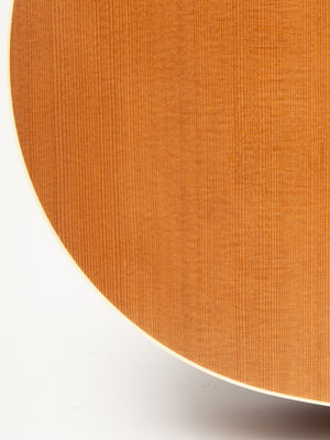 Godin Multiac Nylon Encore Natural SG