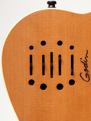 Godin Multiac Nylon Encore Natural SG