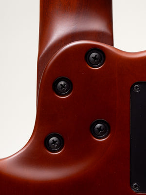 Godin Multiac Nylon Encore Natural SG