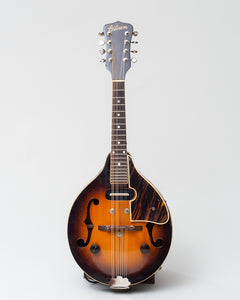 1937 Gibson EM-100