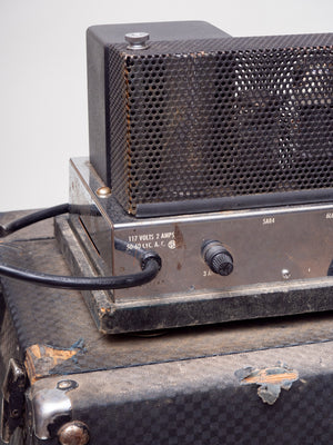 1965 Ampeg B-15