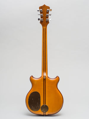 1979 Alembic