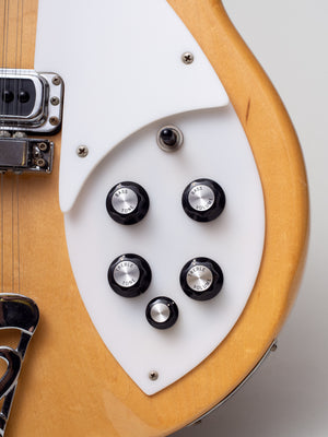 1979 Rickenbacker 360/12