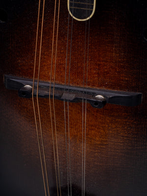 2015 Ellwood F-Style Mandolin