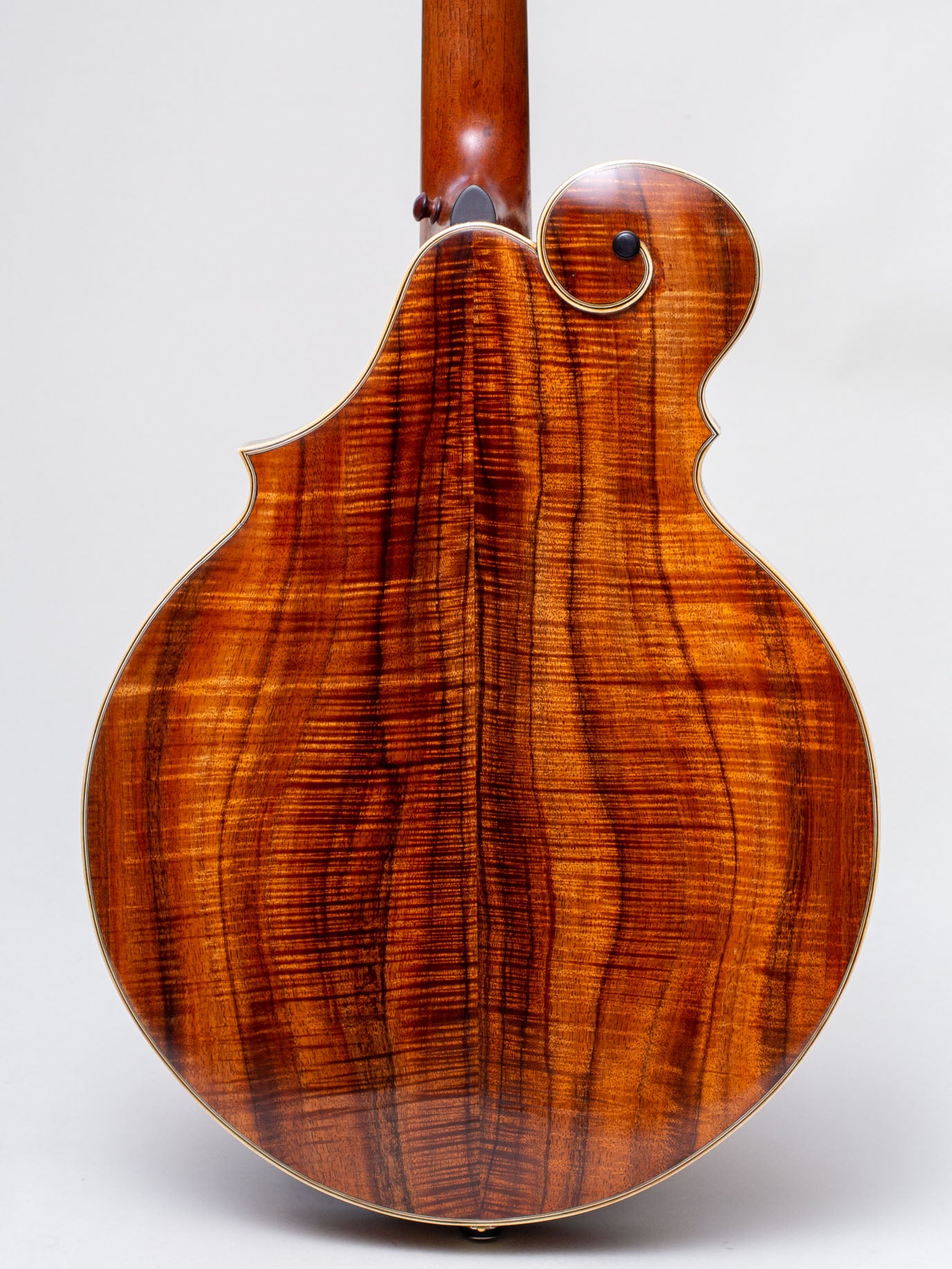 2017 ISI 5 Course Florentine Octave Mandolin