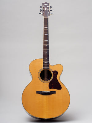 2004 Collings SJ Cutaway Adirondack Top