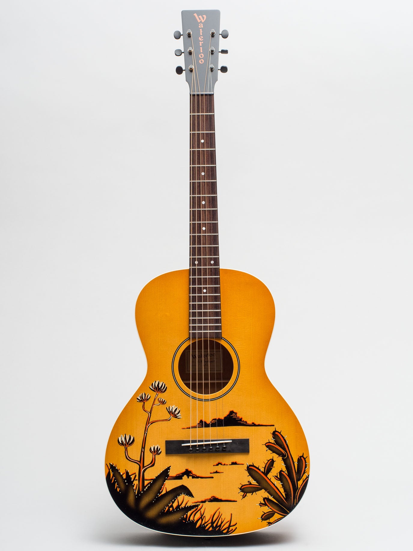 Southwest guitar 2024